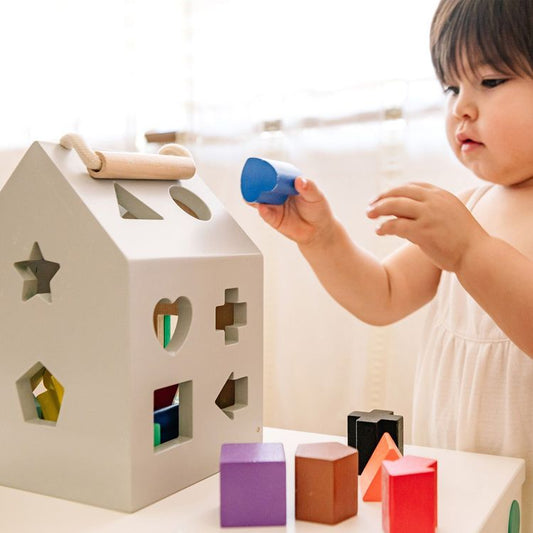 Wooden Shape Sorter