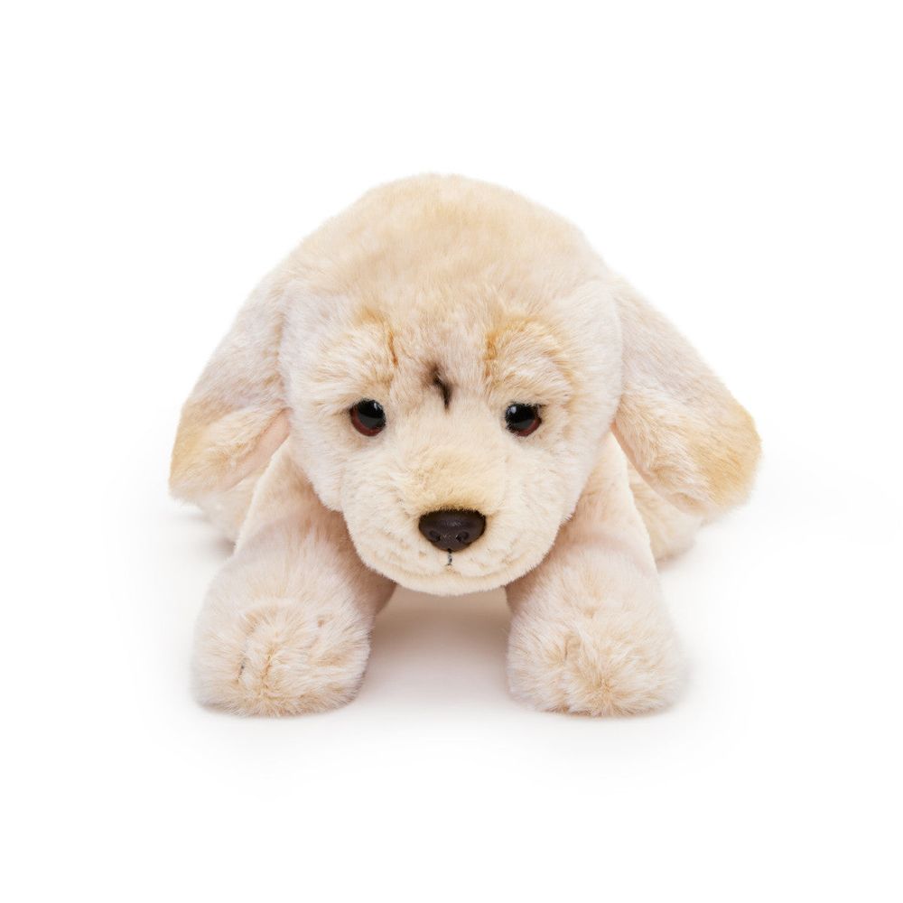 15” Adopt-A-Pets Plush Labrador