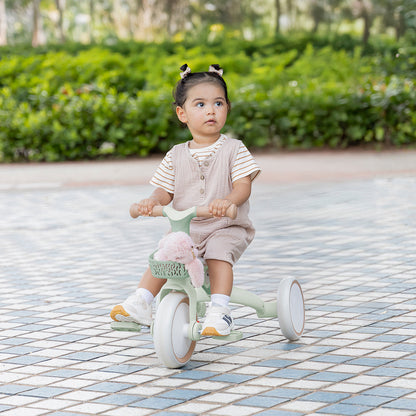 3in1 ECO Learning Trike - Pistachio