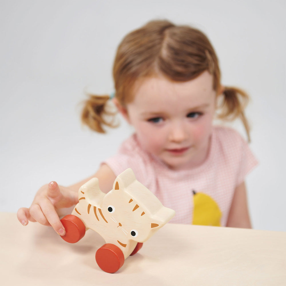 Baby Wood Toy Bundle