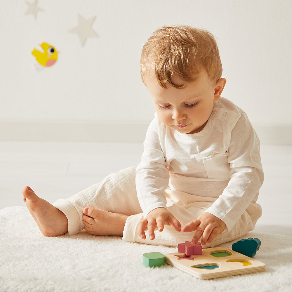 Janod Developmental Activity Box - 18 Months