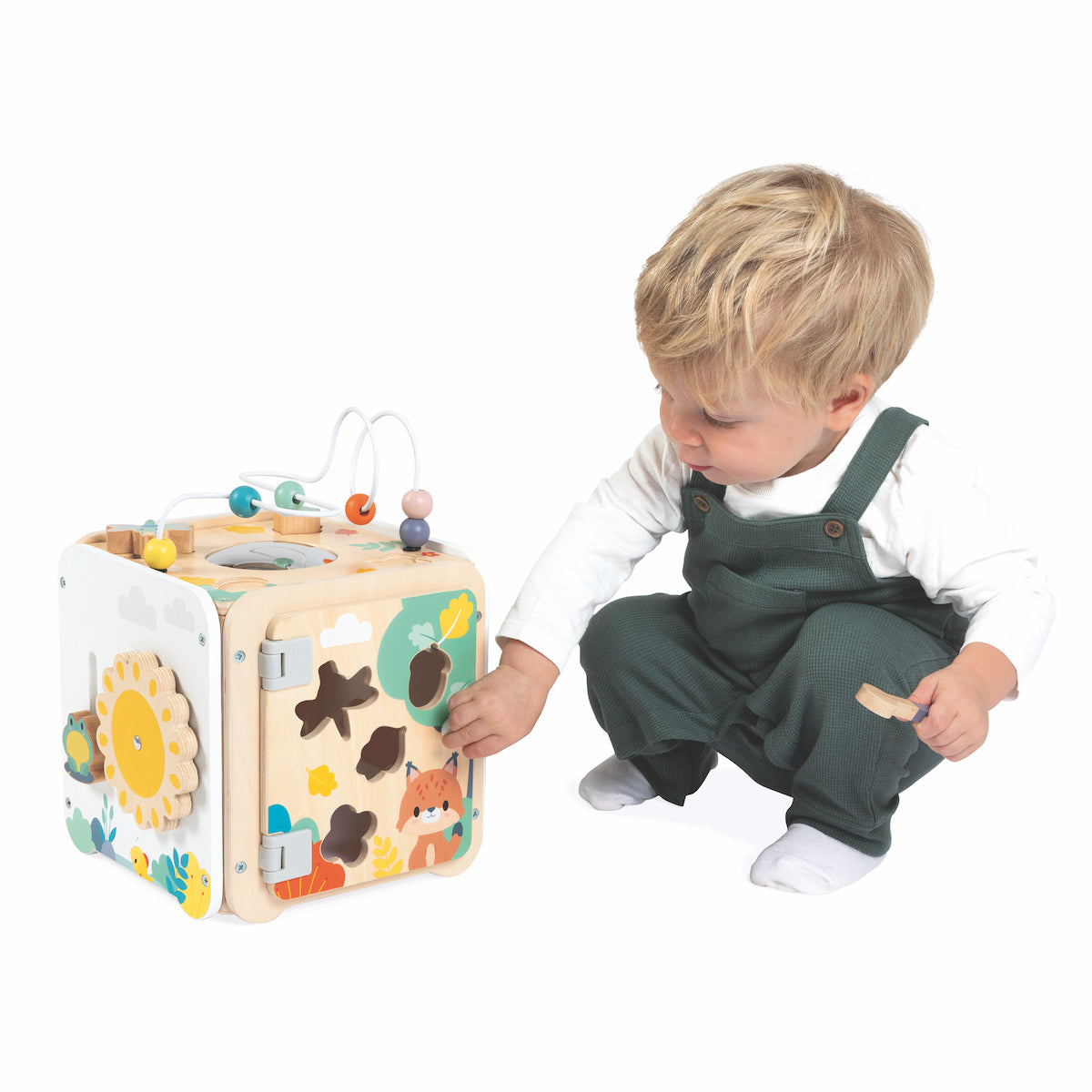 Pure Large Multi-Activity Cube