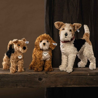 Ricky Cockapoo