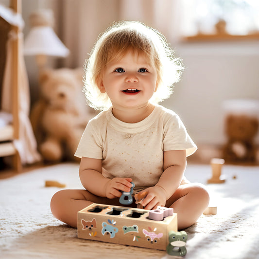 Animal Shape Sorter Box