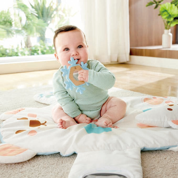 Snuggle Bear Activity Gym
