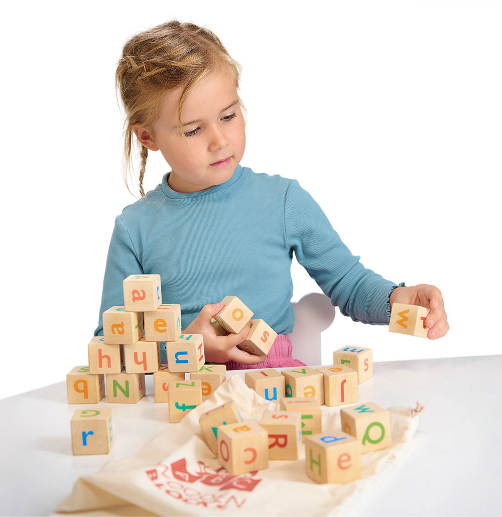 Wood Learning Toys Bundle